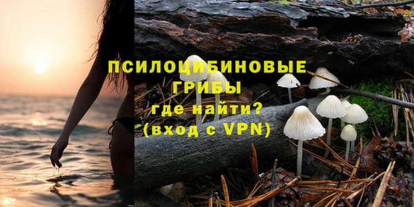 ПСИЛОЦИБИНОВЫЕ ГРИБЫ Краснотурьинск