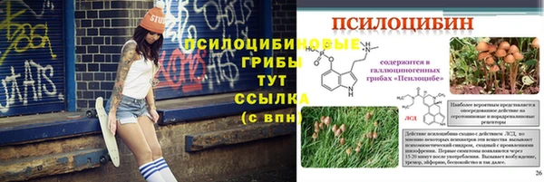 хмурый Кукмор
