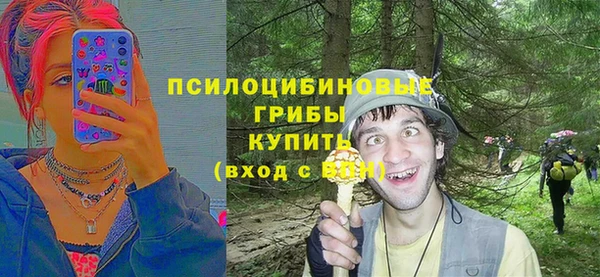 a pvp Краснослободск