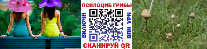 Галлюциногенные грибы мухоморы  Мглин 